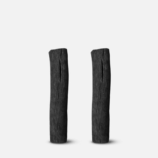 FILTRE DE CHARBON ACTIF X2