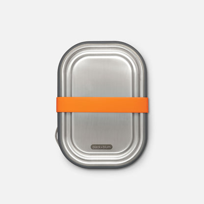 STAINLESS STEEL LUNCH BOX LARGE