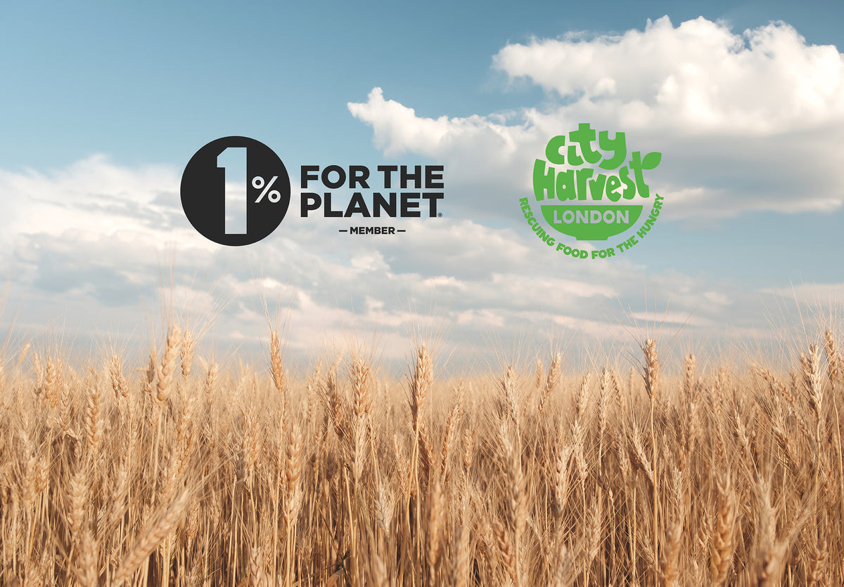 Helping to fight food waste with city harvest